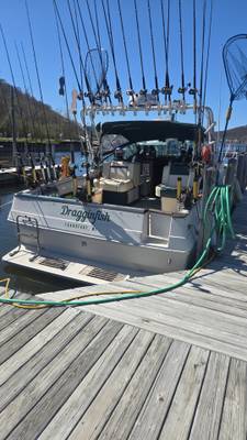 Dragginfish Charters LLC