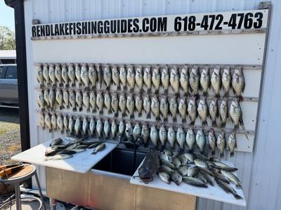 Rend Lake Fishing Guides