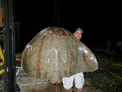 MAGICBOWFISHING