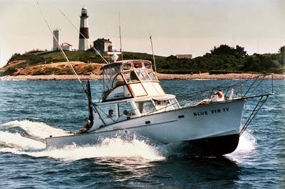 Blue Fin IV Inc.
