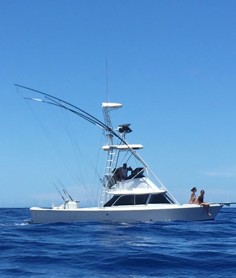Live Bait Sport Fishing boat