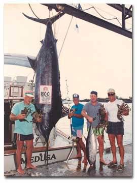 Medusa Sportfishing