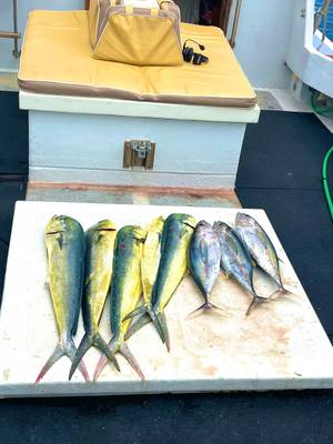Malama Charters Hilo LLC fishing report photo 3, Sep 16, 2026
