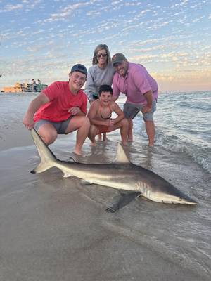 Gillikin's Island Shark Fishing