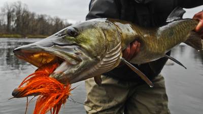 Billy Bob Charters trip photo 5